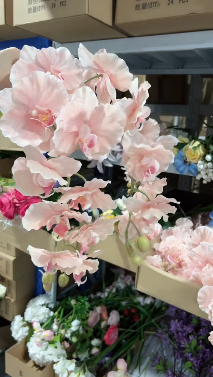 2枝粉色9头蝴蝶兰