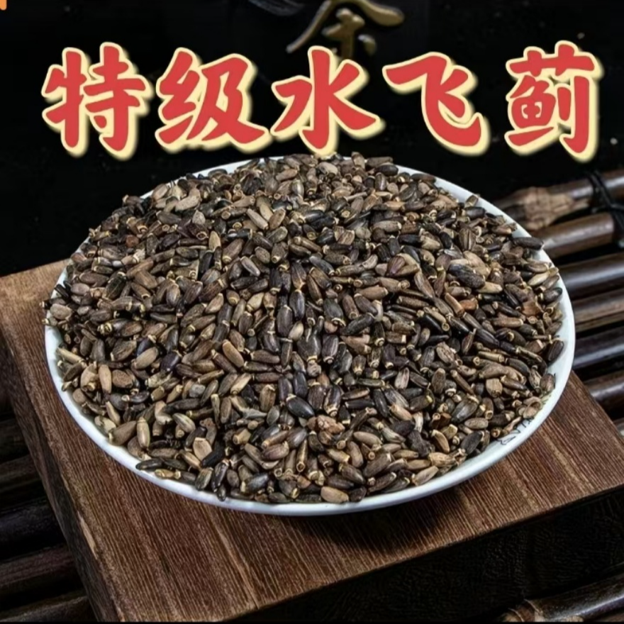 【水飞蓟】鹦鹉零食奶蓟籽带壳饲料增强体质营养健康明目护肝