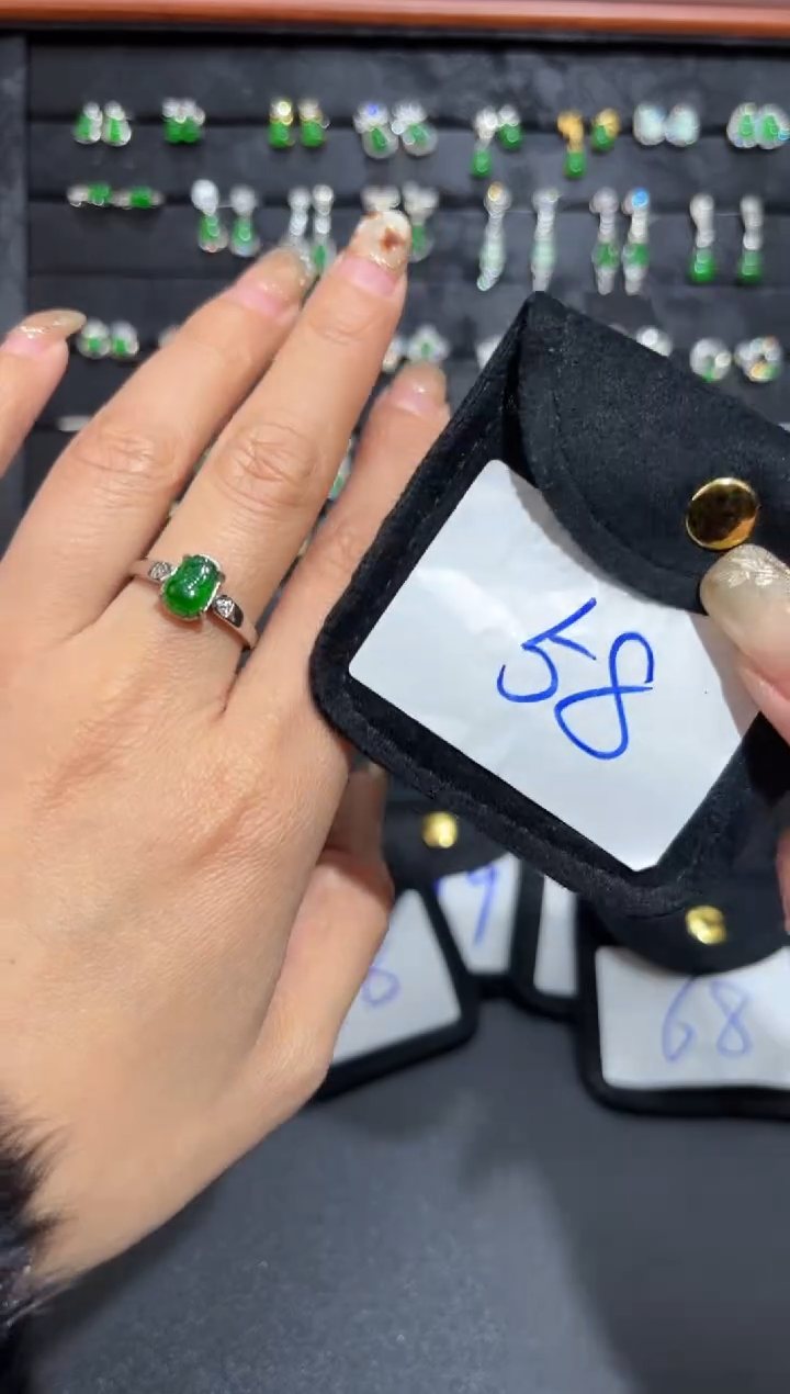 【闪购商品】翡翠颈饰银S925镶嵌貔貅/支持复检/一件