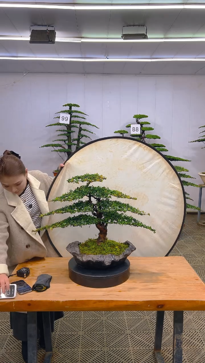 无花朵一物一拍一物一拍