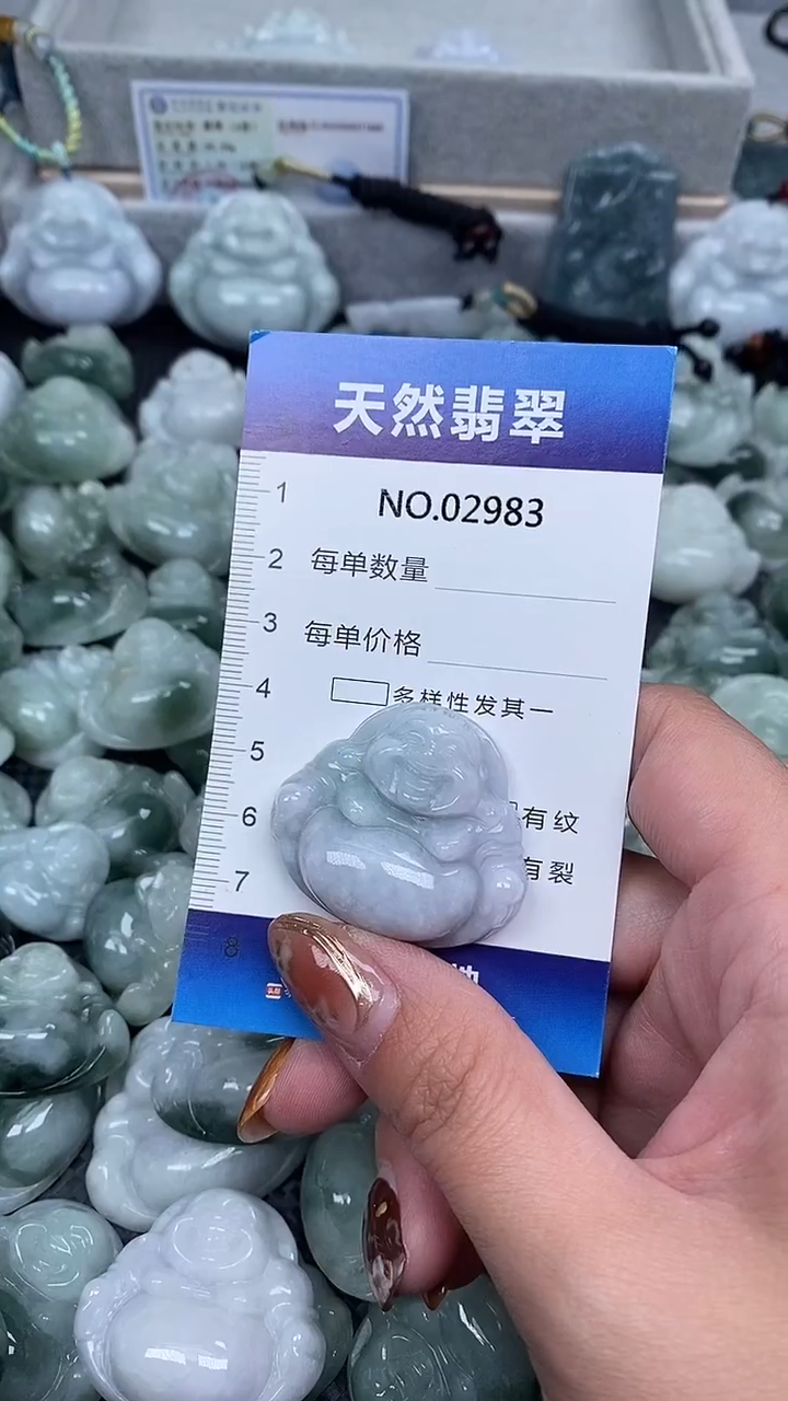 颈饰未镶嵌翡翠纯天然A货翡翠2983