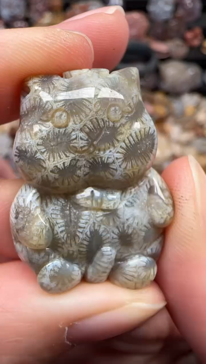 颈饰未镶嵌硅化珊瑚（珊瑚玉）125