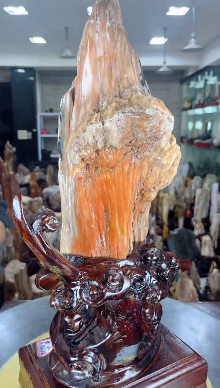 【闪购商品】硅化玉珠宝奇石未镶嵌缅甸天然树化玉