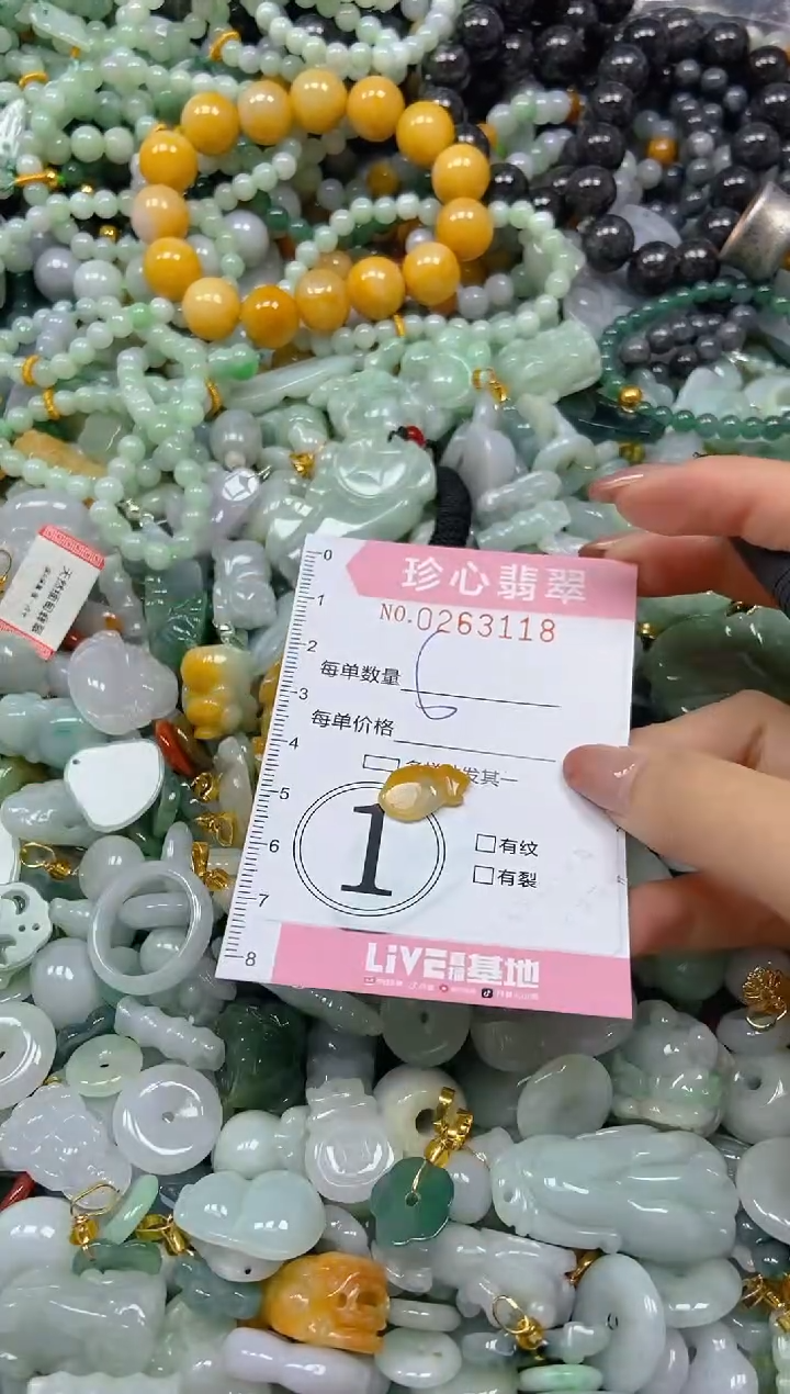 翡翠未镶嵌颈饰闪购0263118