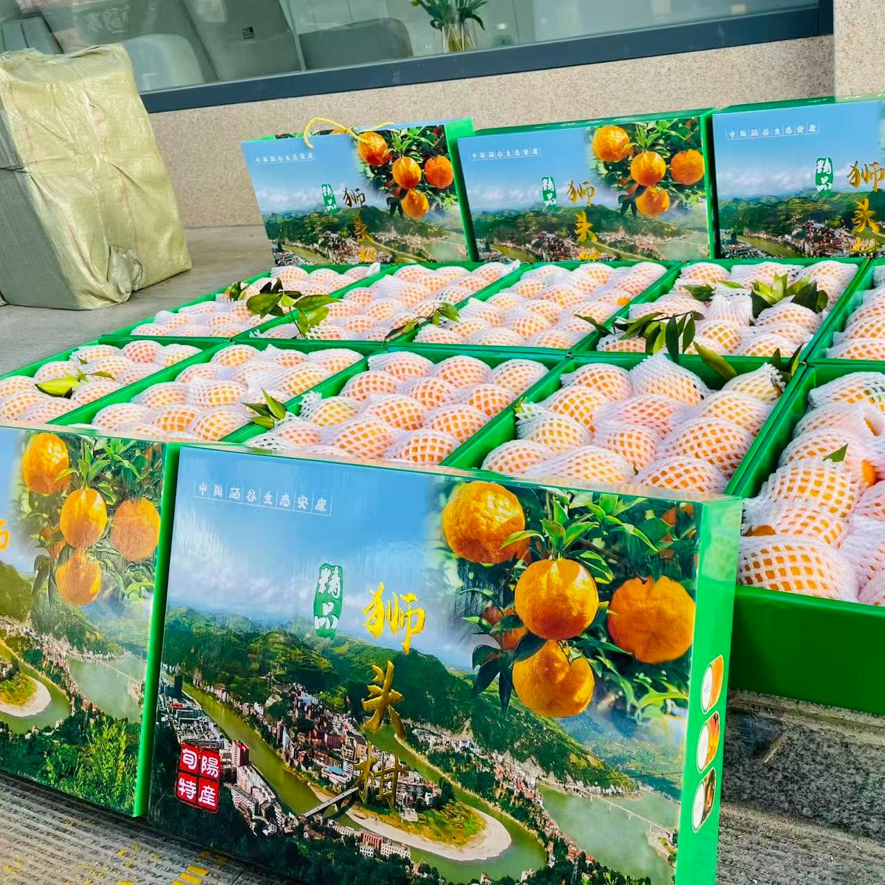 安康旬阳狮头柑肉厚多汁新鲜孕妇水果