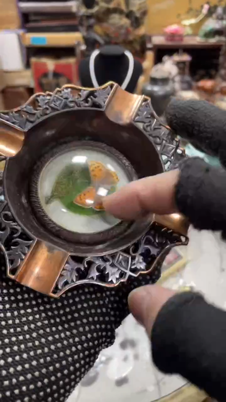 【闪购商品】杯瓷瓷瓷瓷瓷瓷瓷瓷瓷