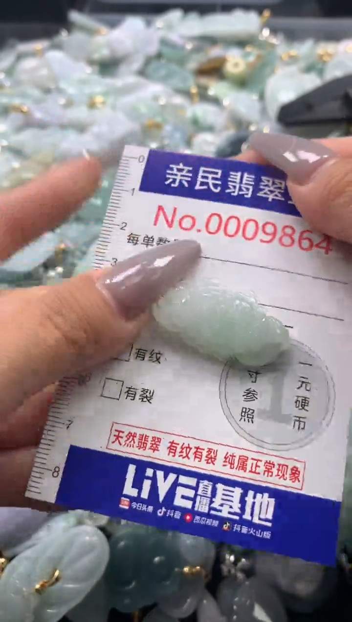 颈饰未镶嵌翡翠9864