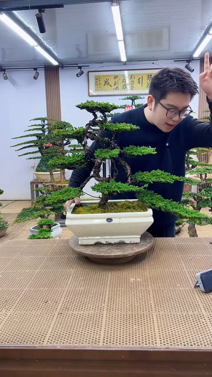 无花朵一物一拍，所见即所得