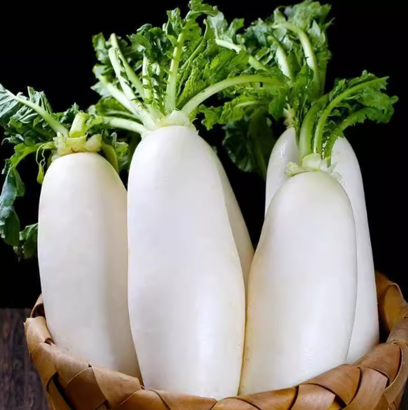 【鲜蔬】白萝卜 约800g/根