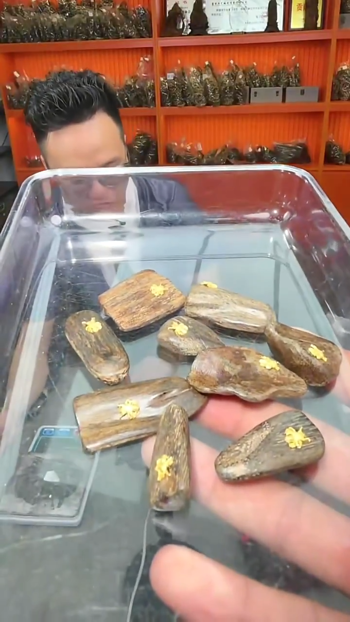 沉香吊坠s20号沉水野1颗多样性发一