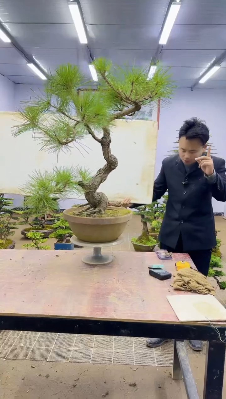 【闪购商品】一物一拍，所见即所得