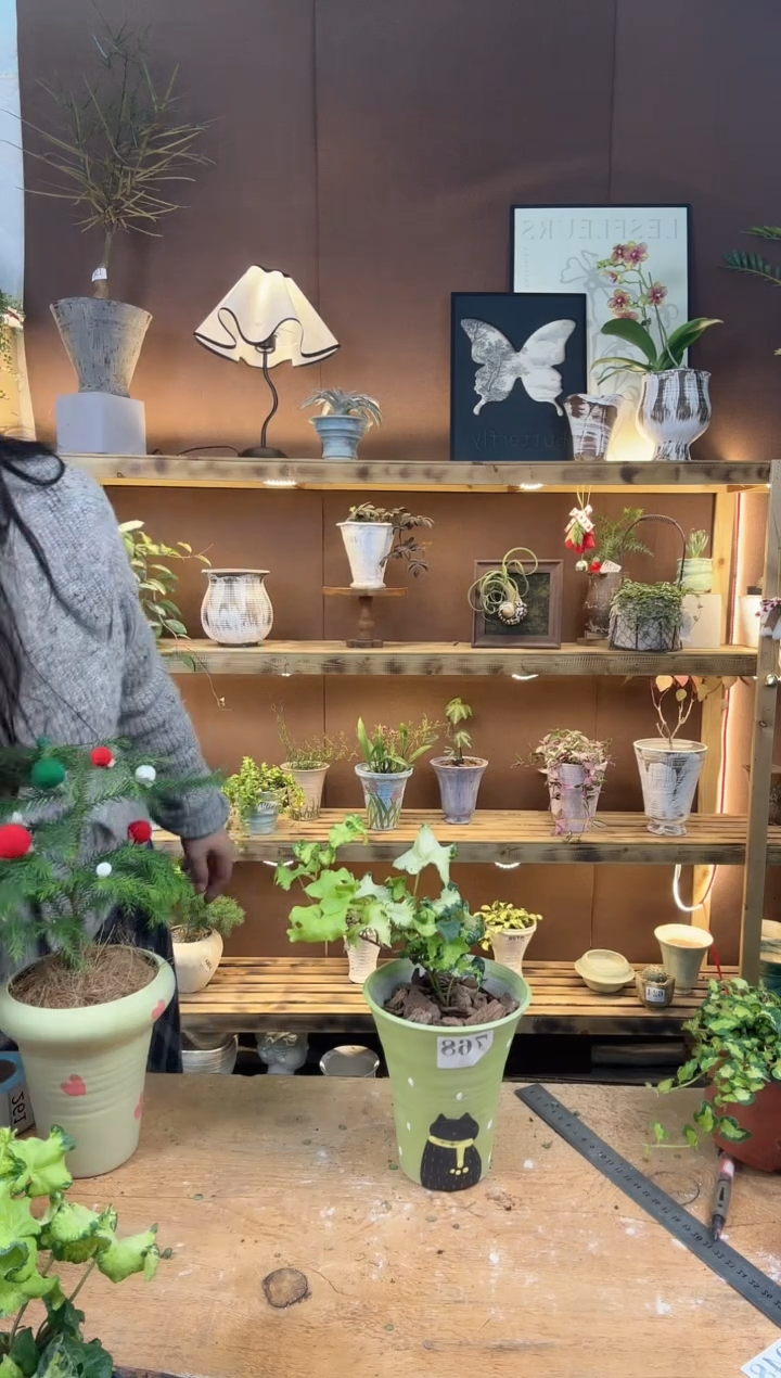 无花朵768月光灯加盆一套