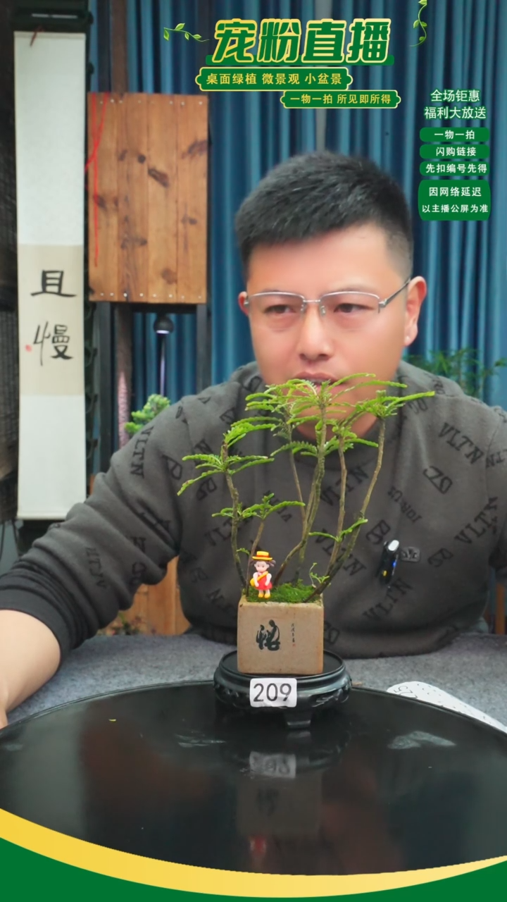 无花朵雄**容苔藓微景观209号