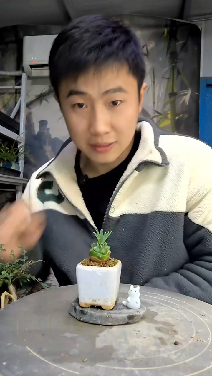 姚*＿中青园艺一物一拍花294