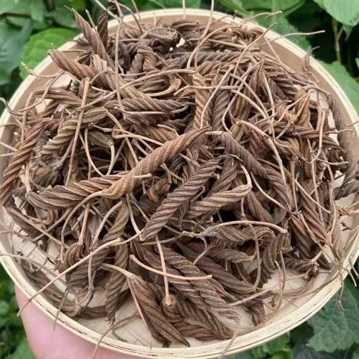 高山海拔【虫草王】500g 镜子专属