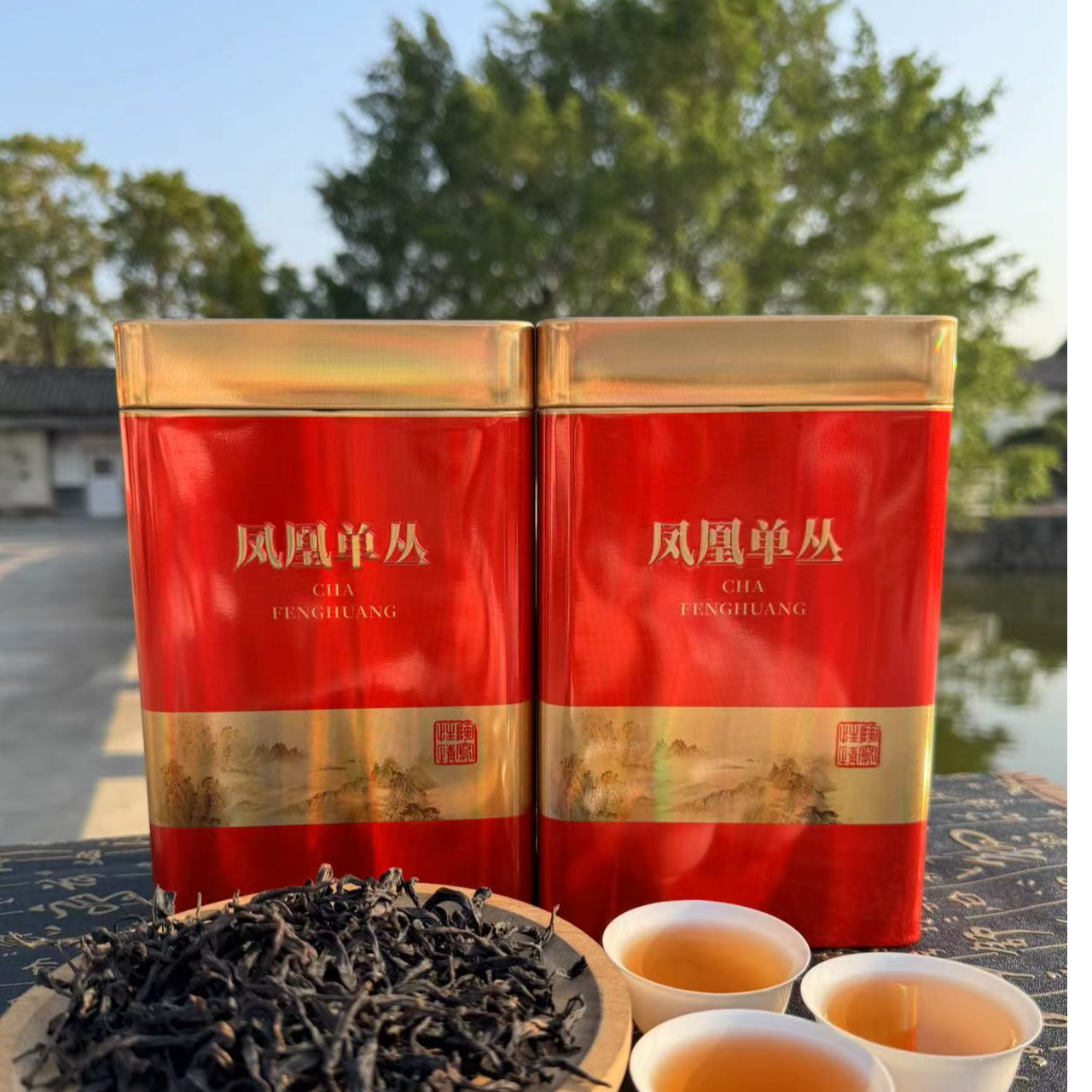 【凤凰茶坡头】山内山茶业凤凰单丛茶