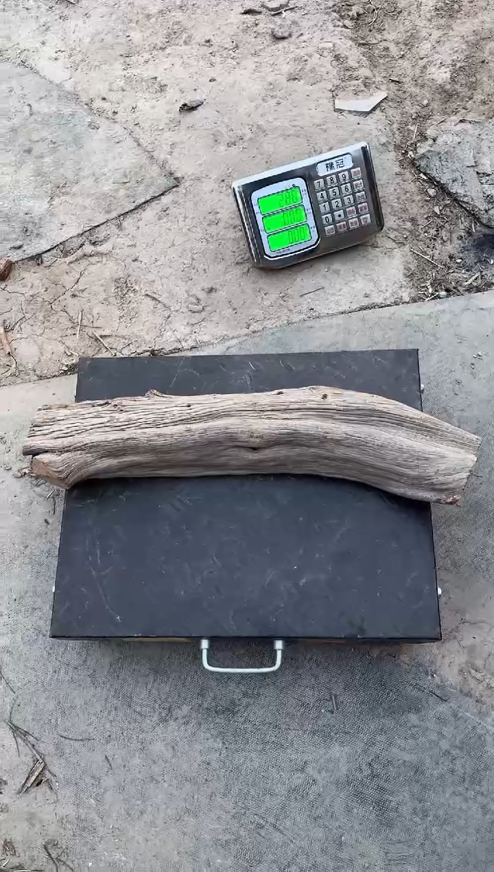 【闪购商品】柏木（崖柏）南太行崖柏毛料6