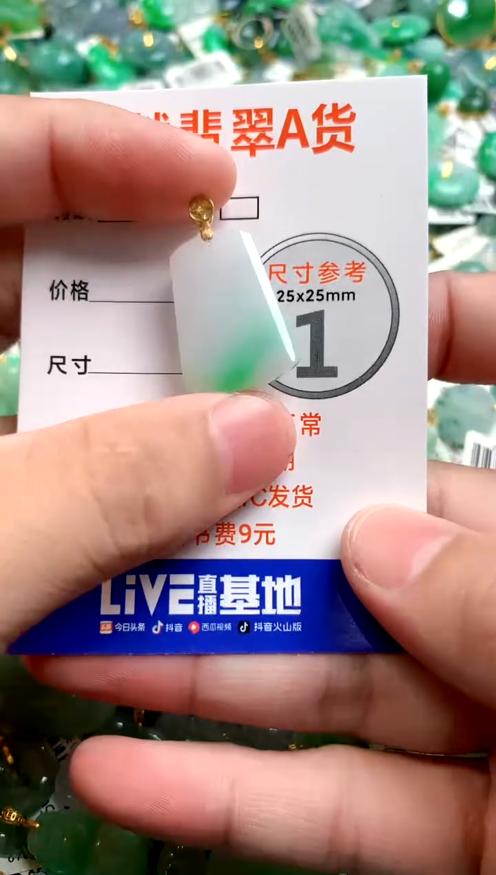 颈饰未镶嵌翡翠14006342