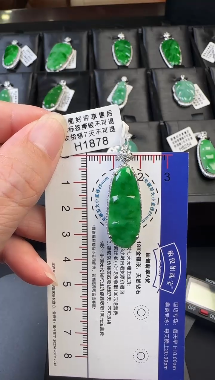 翡翠18K金镶嵌颈饰H1878辣绿富贵豆