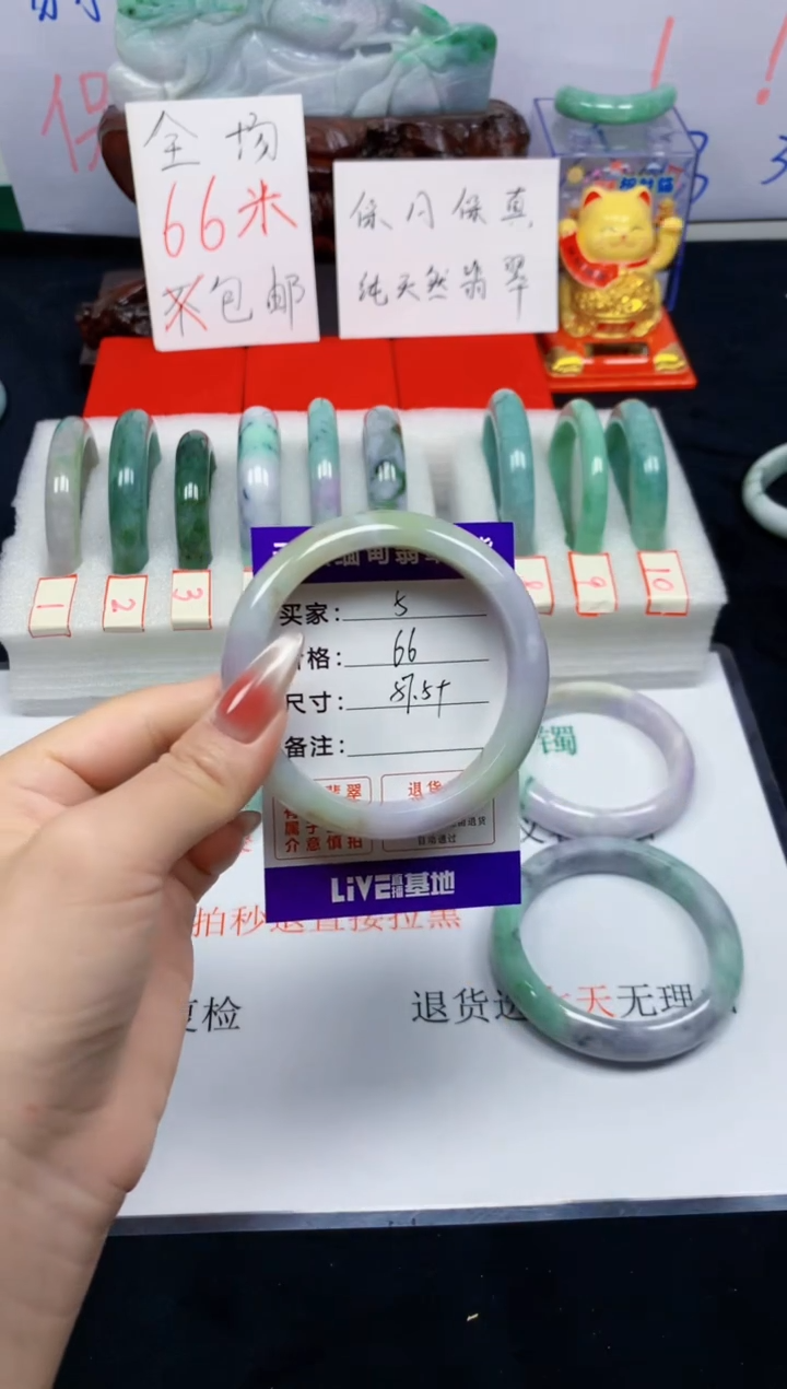 未镶嵌手镯翡翠5