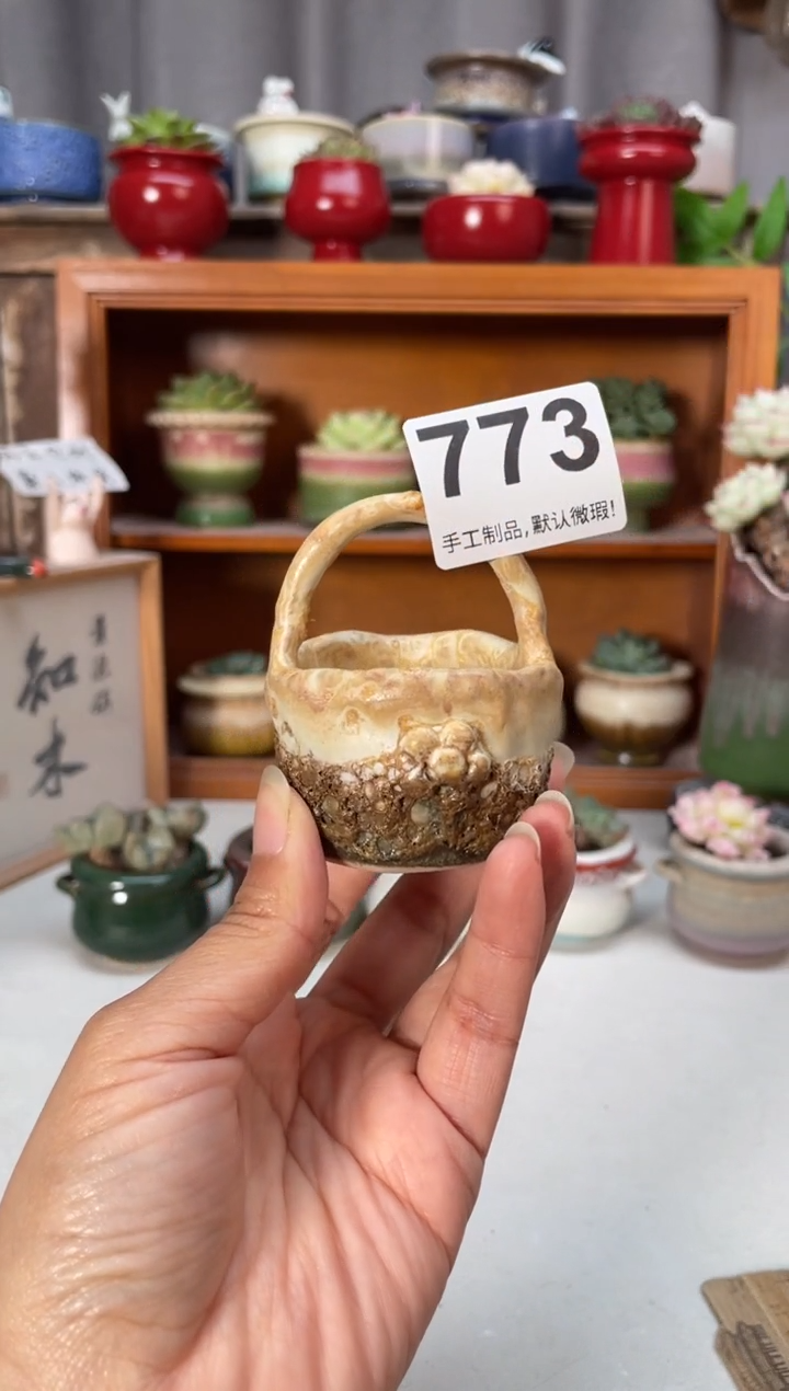 瓷片773小芳直播编号