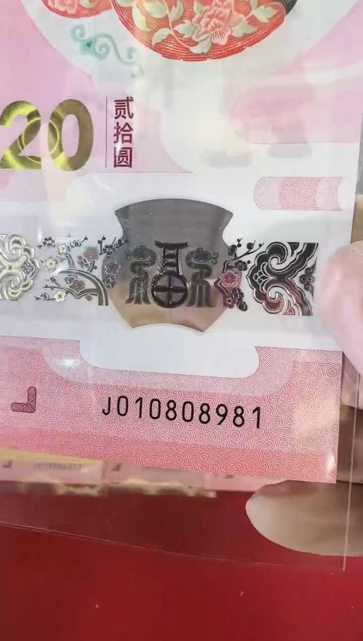 【闪购商品】塑料2025蛇钞钞单张啊啊啊啊啊啊啊啊裸