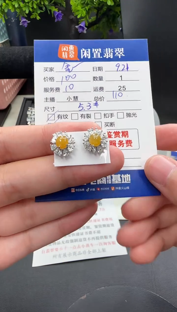 银S925镶嵌翡翠耳饰?****喵翡翠耳饰