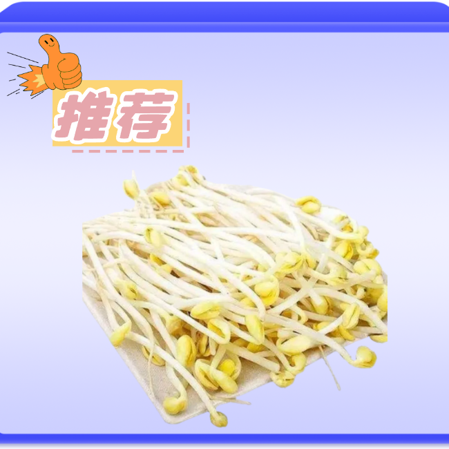 【爆品推荐】黄豆芽 约250g