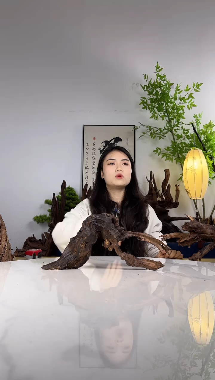 随**安拍这个定向编号56