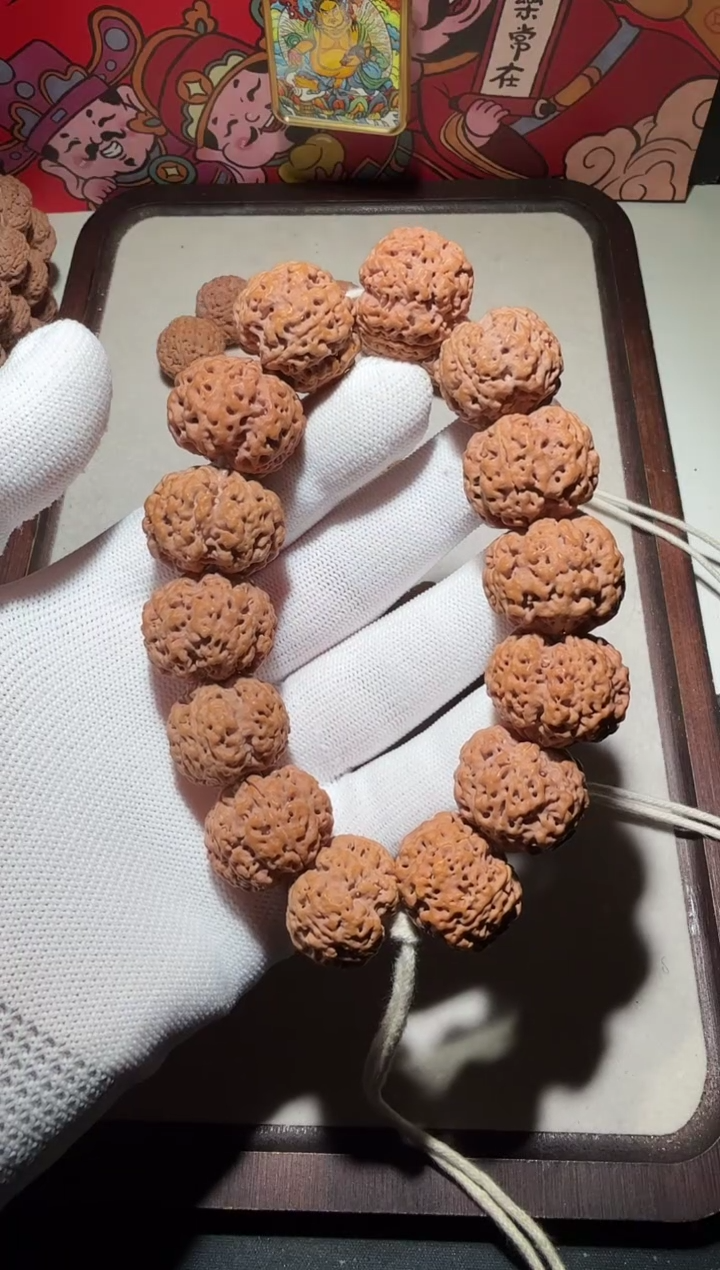 【闪购商品】金刚菩提手串矮桩满肉五星蜂王23