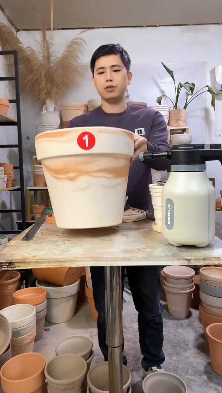 30*27玛奇朵 1盆无托