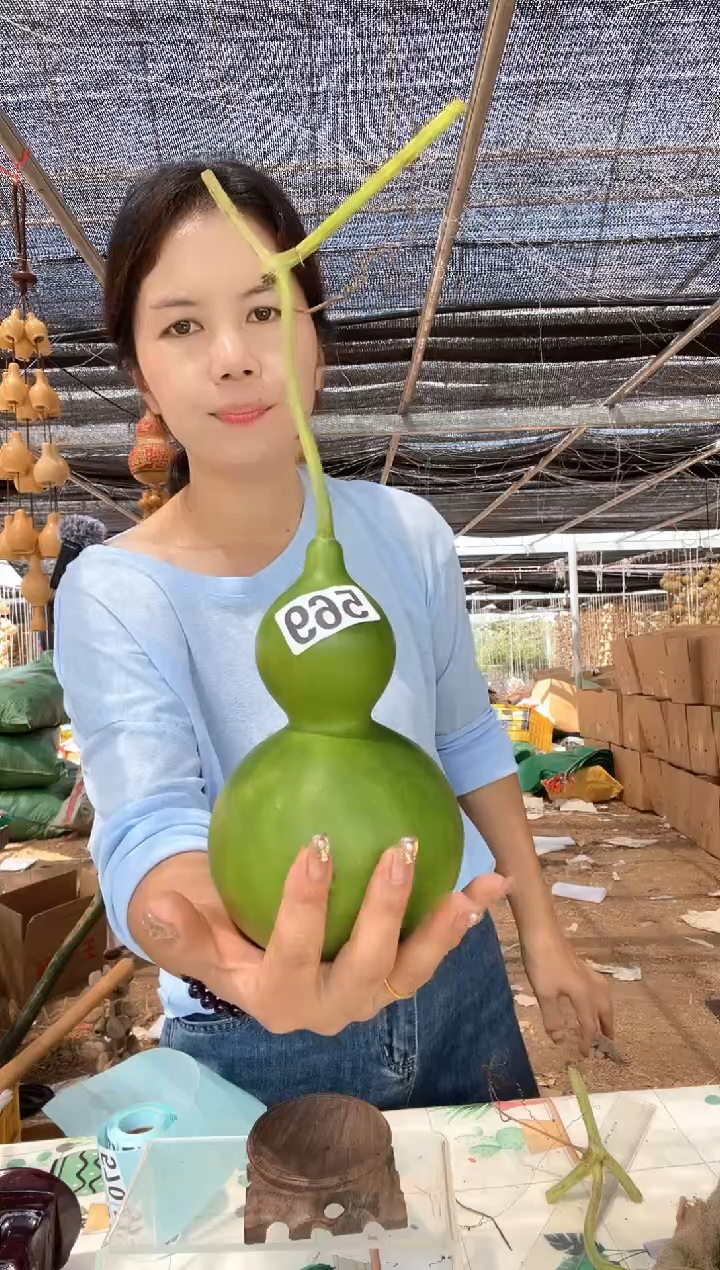 569天然葫芦摆件 一物一拍龙头不保售后