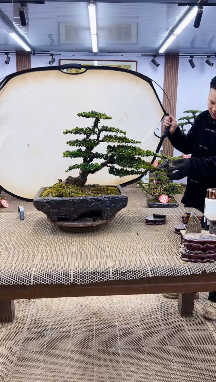 【闪购商品】0000000