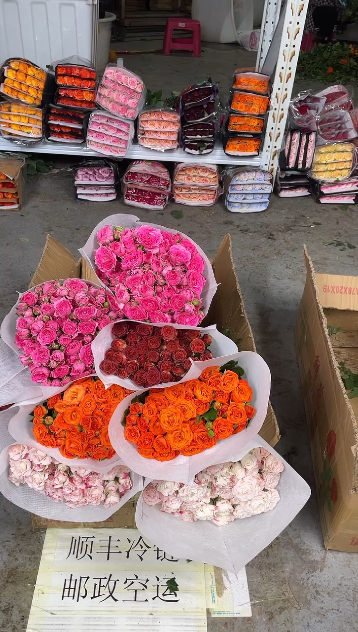 折射10枝+橙色芭比10枝+巧克力10枝+苏菲10枝