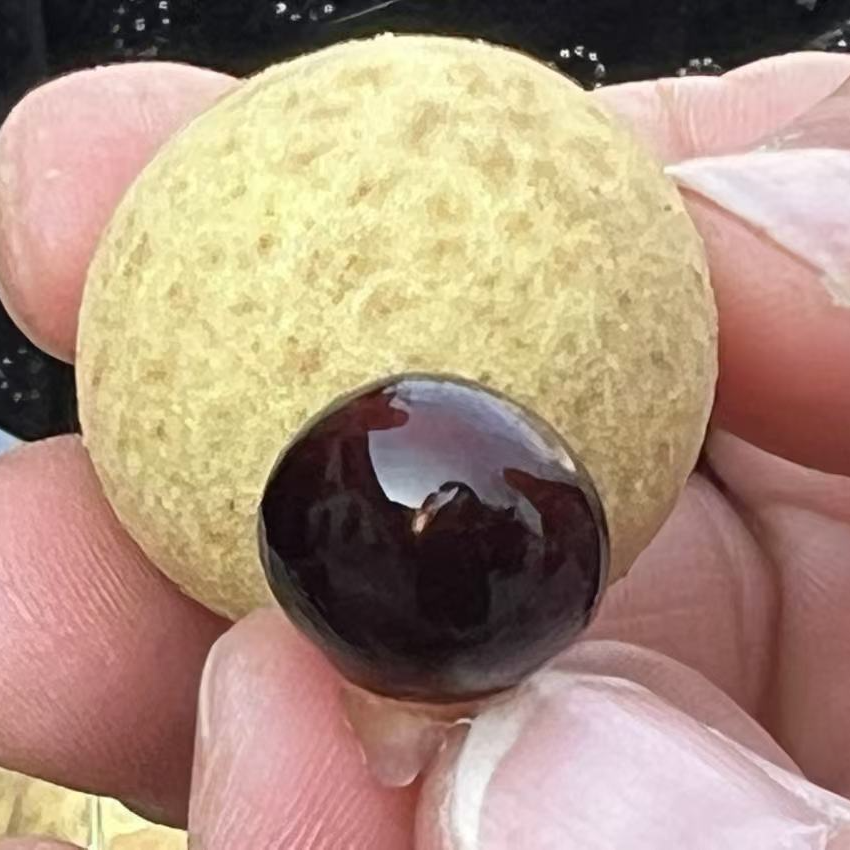 【中通发货】泰国进口金标带枝龙眼4斤发货