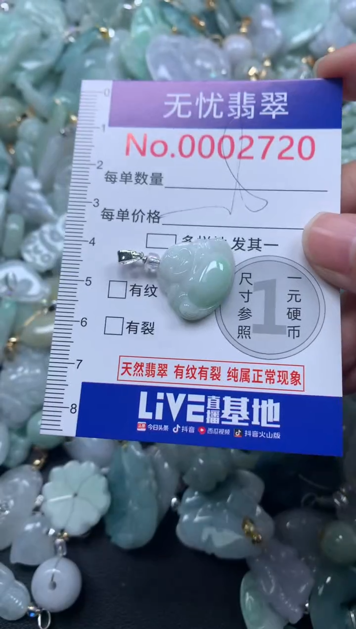 颈饰未镶嵌翡翠2720