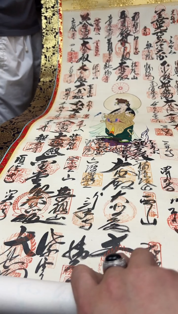 瓷片603聚宝缘海淘精选