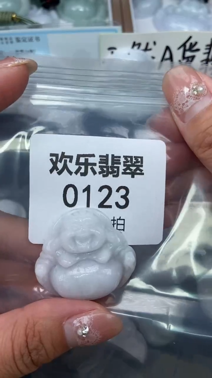 颈饰未镶嵌翡翠缅甸天然翡翠0123