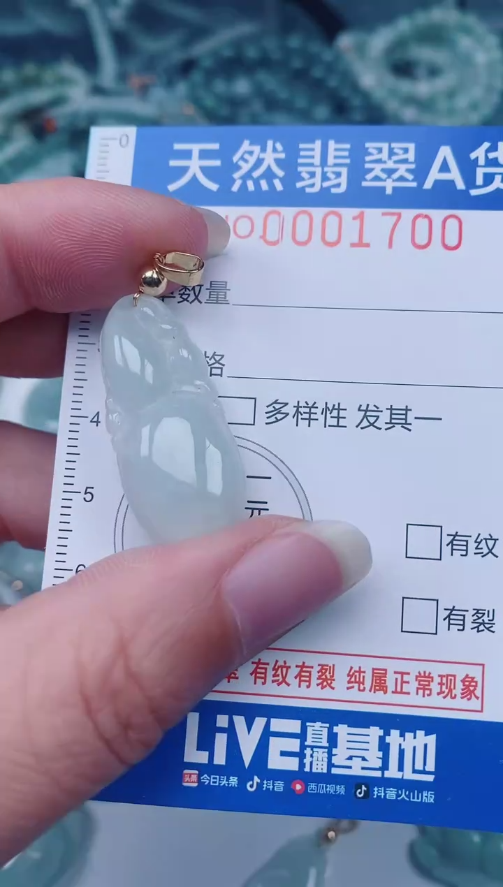 颈饰未镶嵌翡翠00001700