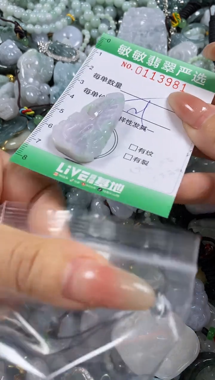 【闪购商品】翡翠颈饰未镶嵌闪购0113981