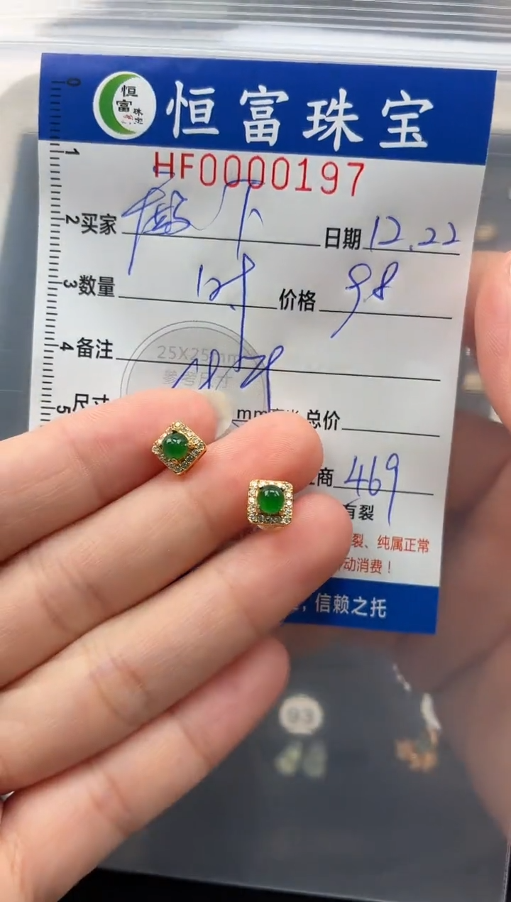 颈饰银S925镶嵌翡翠殿**笙翡翠挂件耳钉197