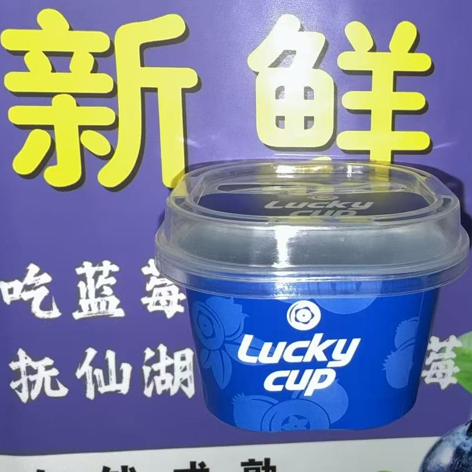 【香甜多汁】正宗云南花香蓝莓 小蓝杯 新鲜水果 顺丰包邮 12杯  S