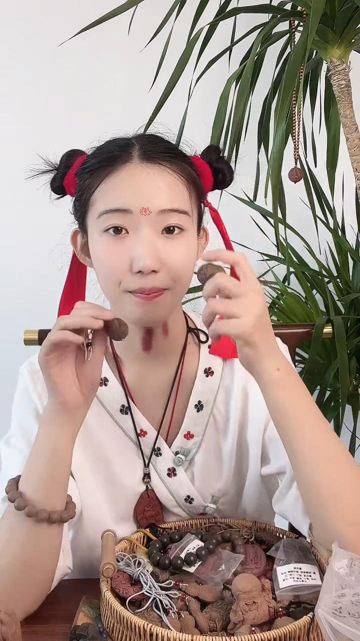 白云子香方无相佛单株