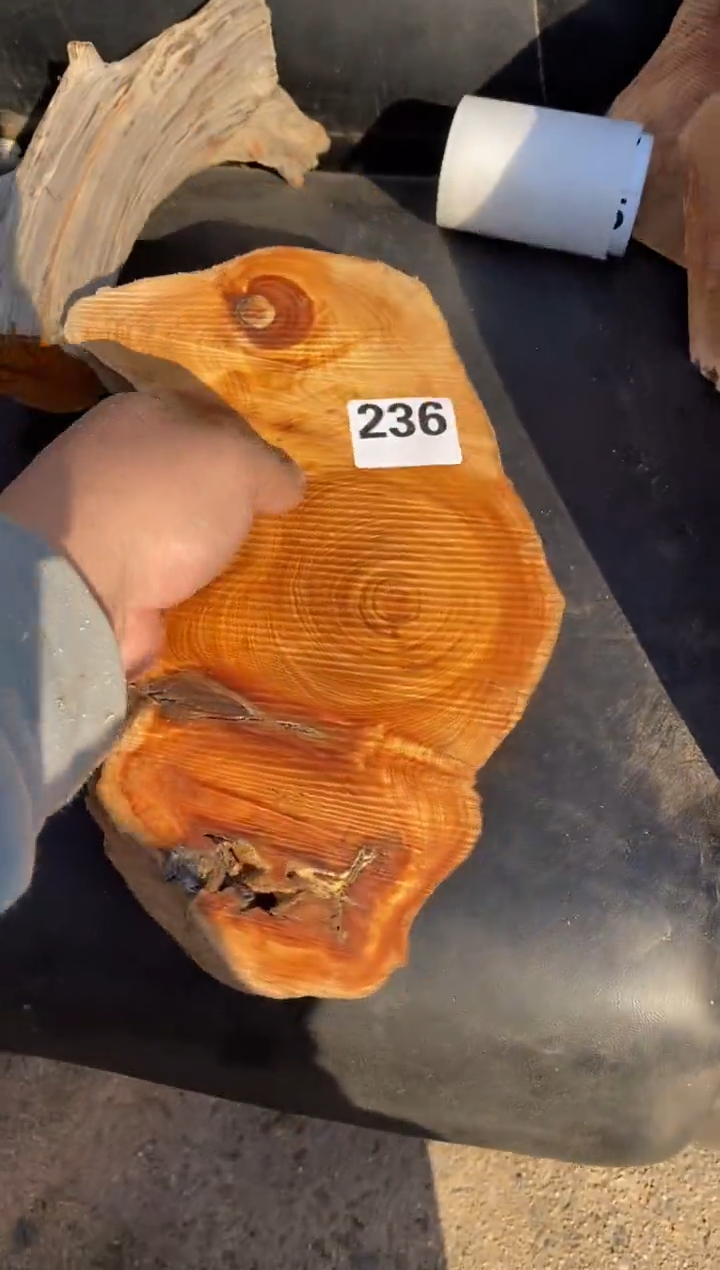 柏木（崖柏）远****U太行陈化崖柏切片！随机（1单1片）236