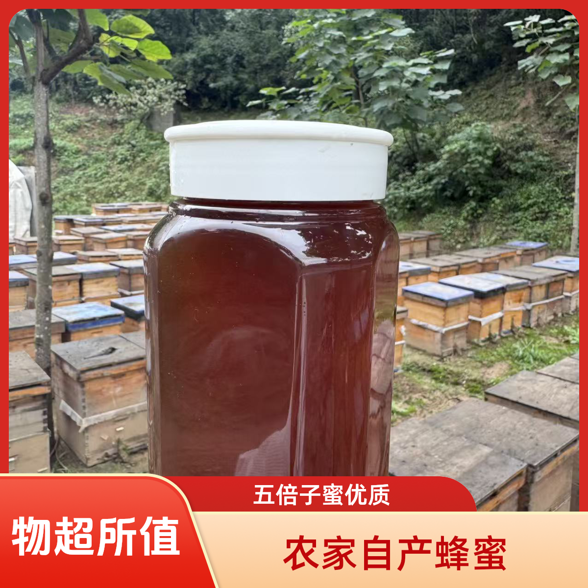 农家自产 五倍子蜂蜜温性1000g蜂场滋补自然成熟原蜜包邮