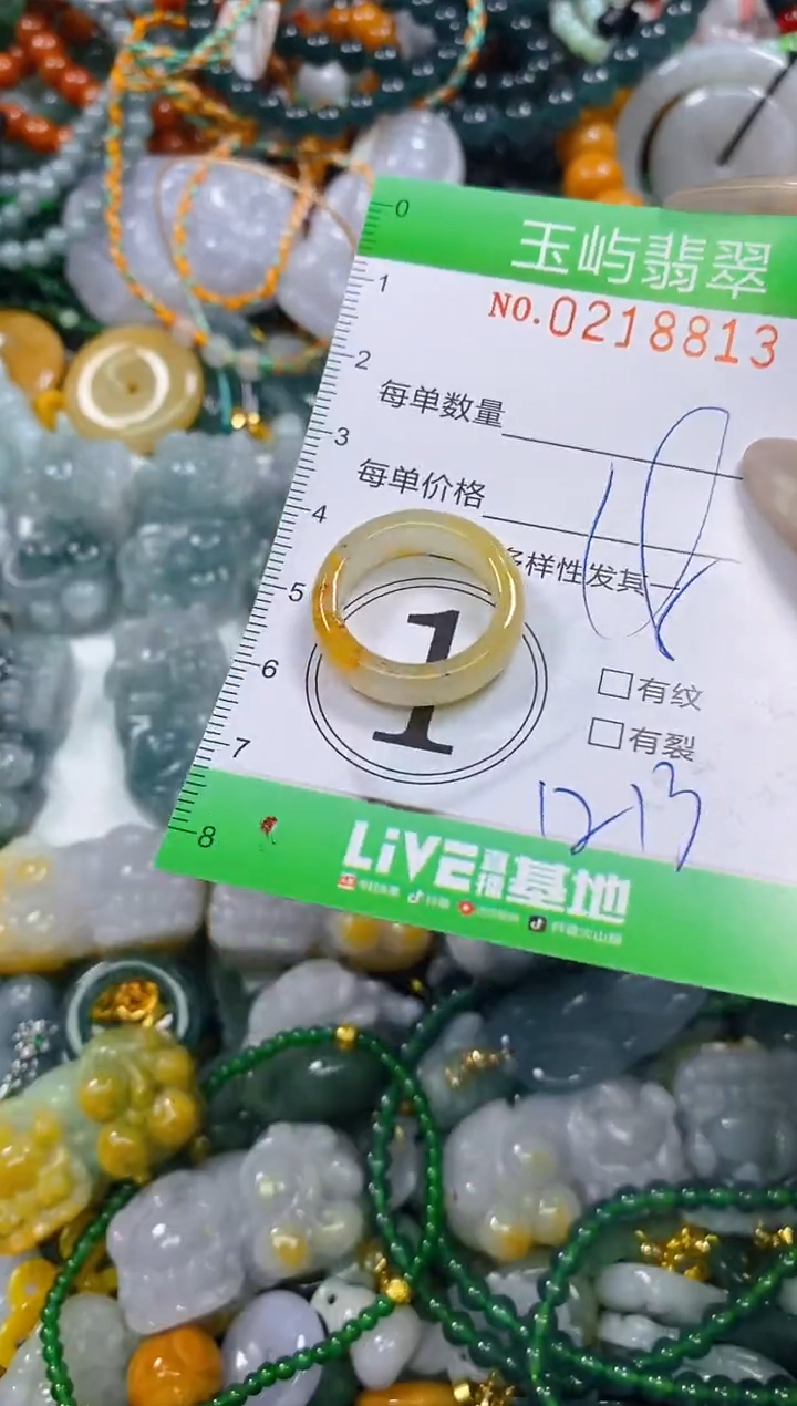 颈饰未镶嵌翡翠闪购0218813