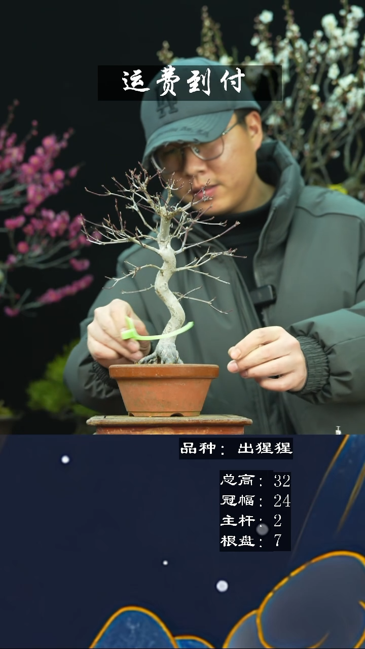 【闪购商品】无铅玻璃232796