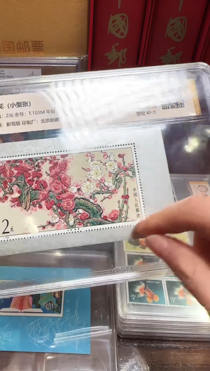 【闪购商品】T103梅花小型张-封装评级