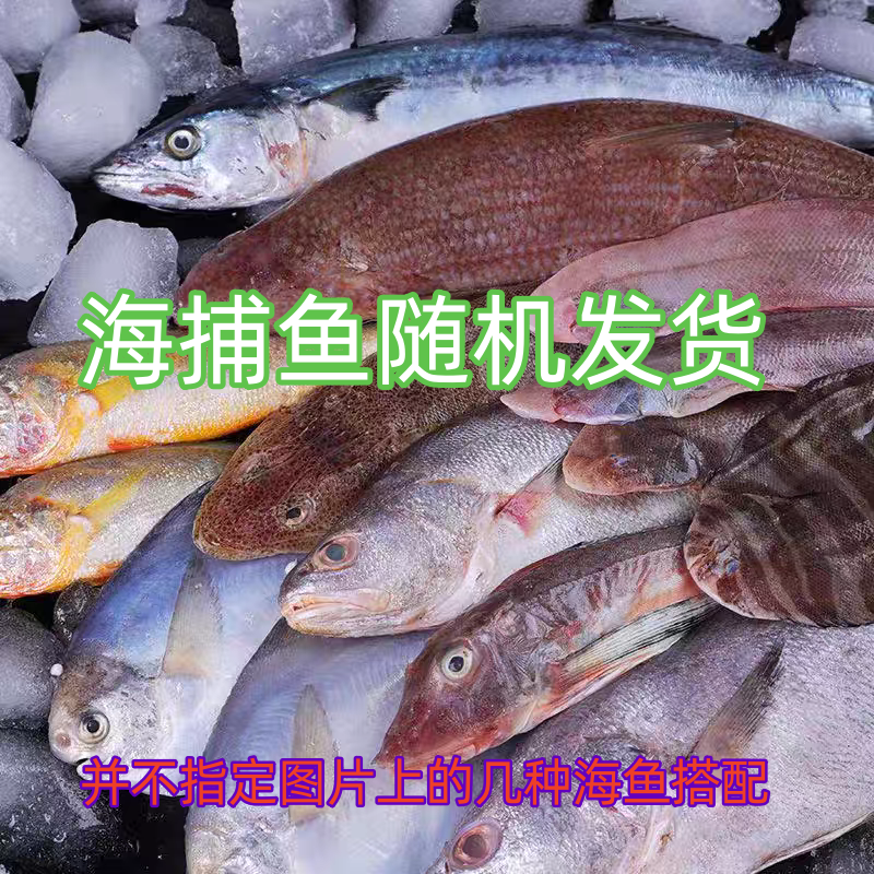大连随机海鲜一份