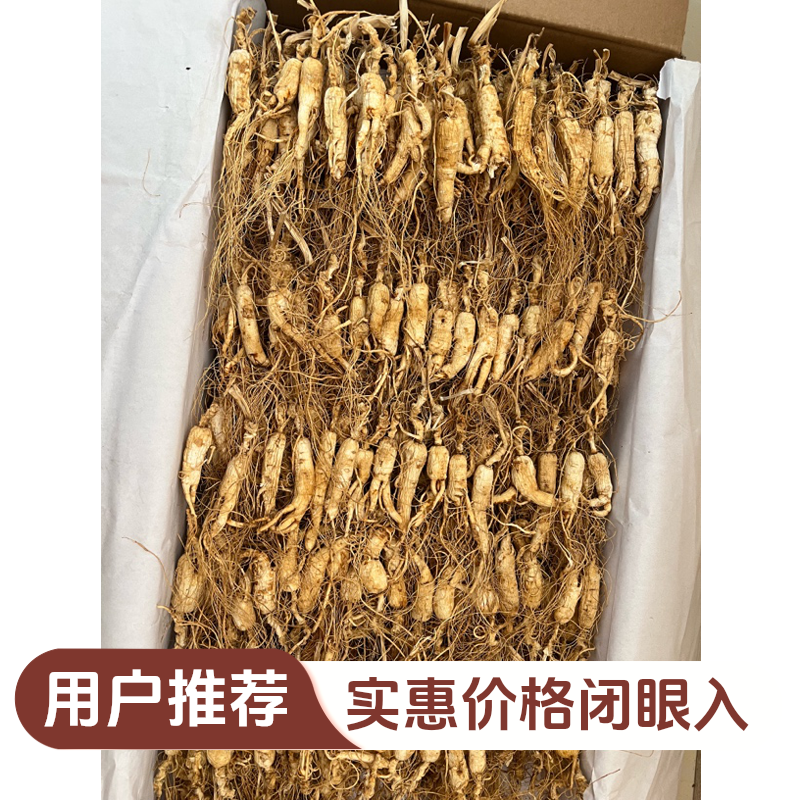 干人参残枝断须经济实惠原产地直发生晒人参长白山 